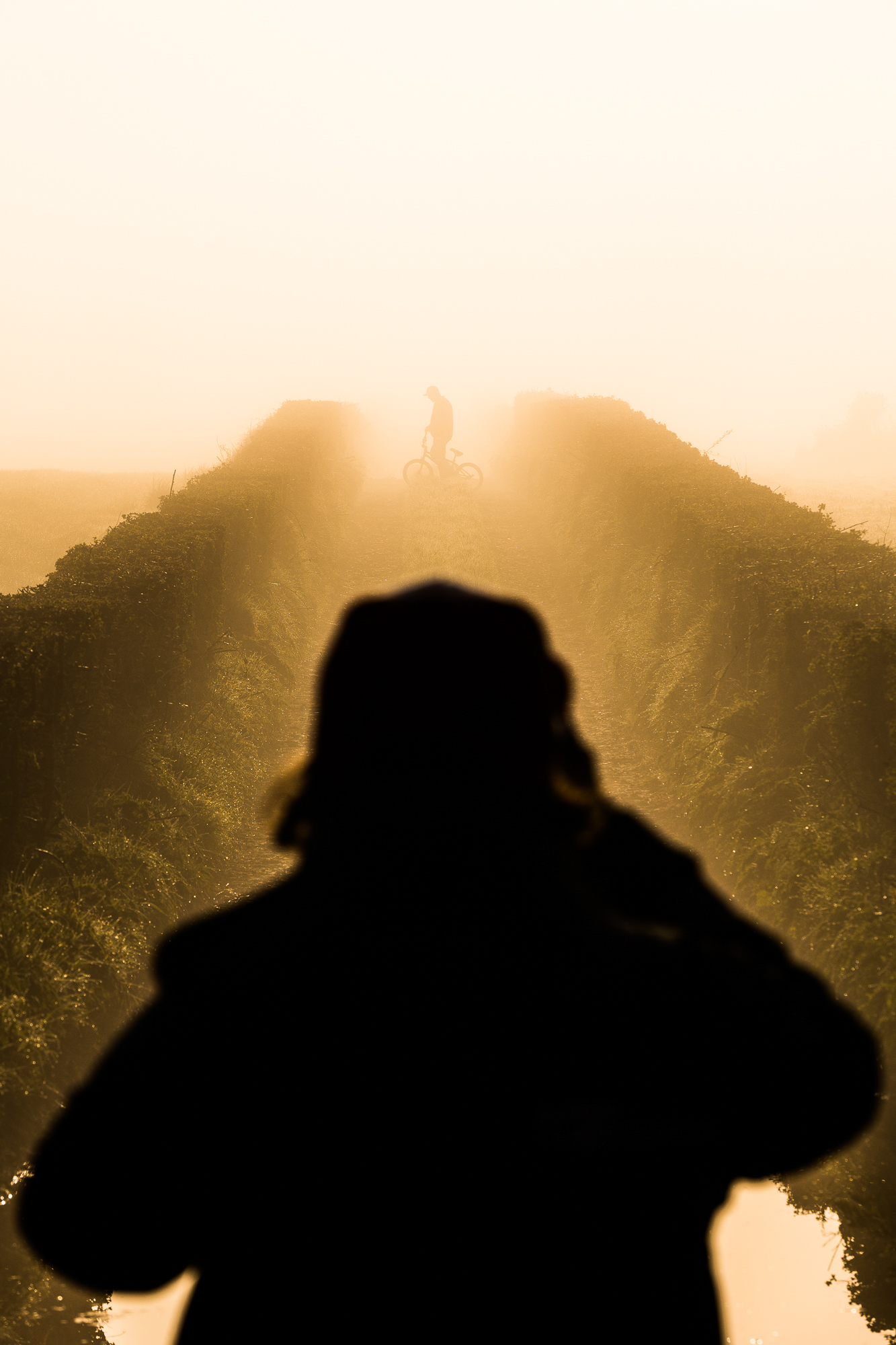 20180430 Riding Thrones GAL7958 WEB 