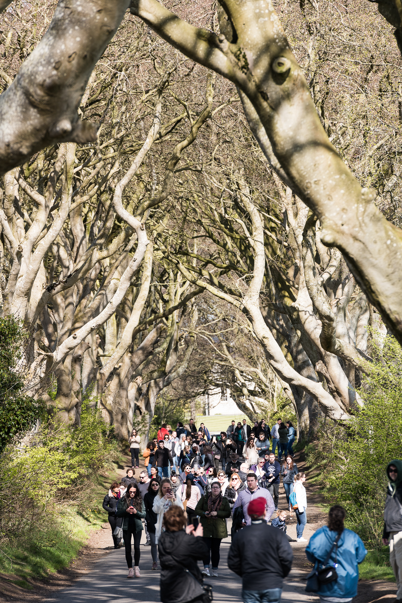 20180430 riding Thrones GAL8128 WEB 