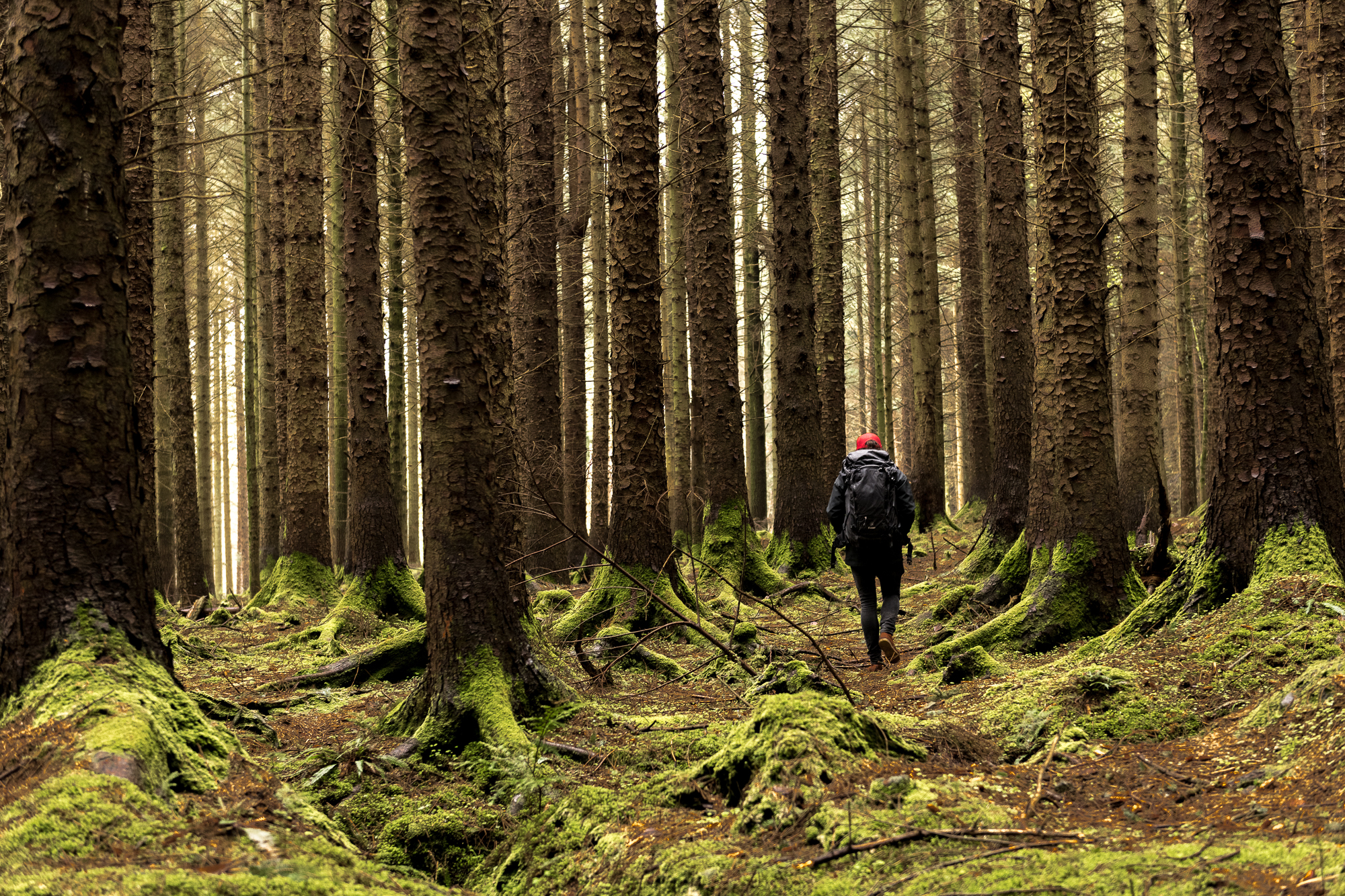 20180503 Riding Thrones GAL9175 WEB 