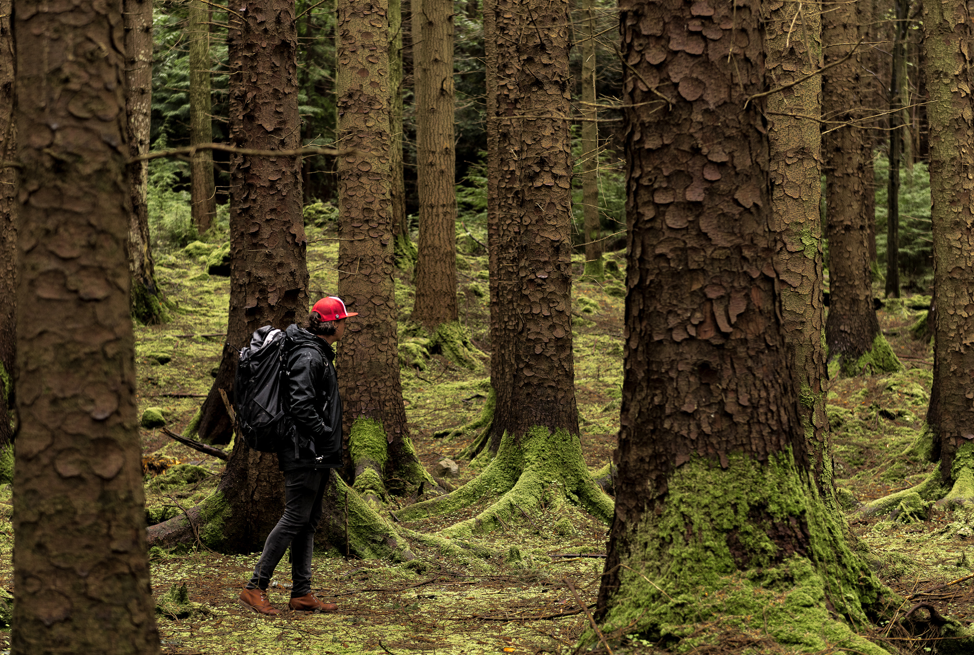 20180503 Riding Thrones GAL9131 WEB 