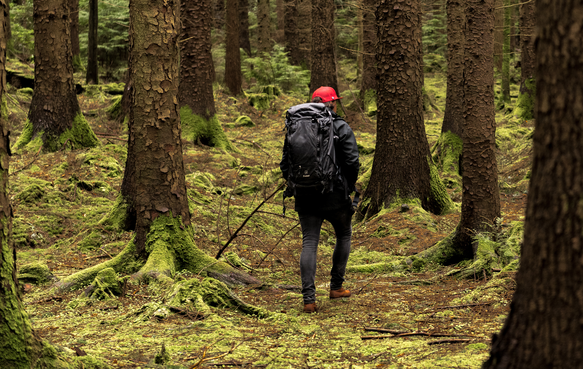 20180503 Riding Thrones GAL9143 WEB 